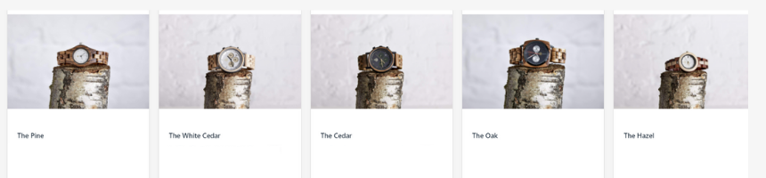 The Sustainable Watch Company