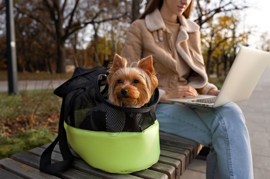 pet carriers

