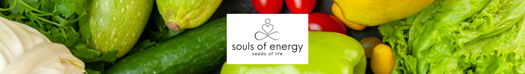 Souls of Energy LLC - New supplier on Syncee Marketplace