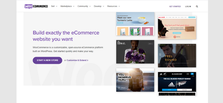 Advantages of Woocommerce