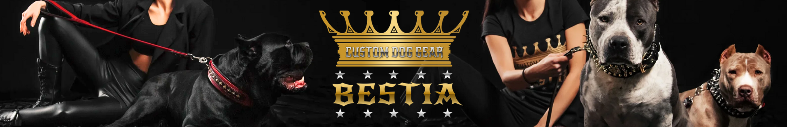 New suppliers of the week - Bestia Pet EU