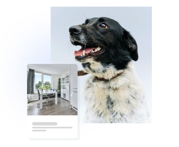 squarespace dropshipping